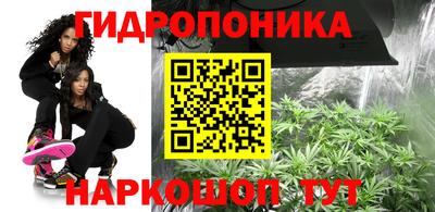 молекула духа Краснокаменск