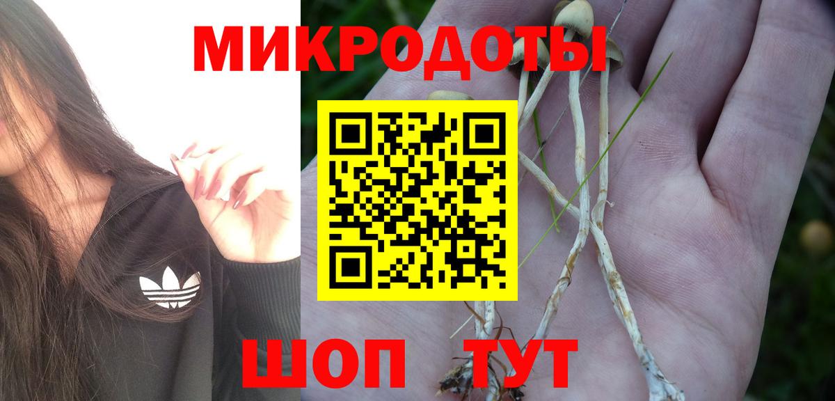 Снежинск  Псилоцибиновые грибы мицелий  Вход с VPN 